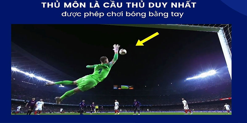 Các luật trong bóng đá: Luật sân bóng Các luật trong bóng đá: Luật sân bóng